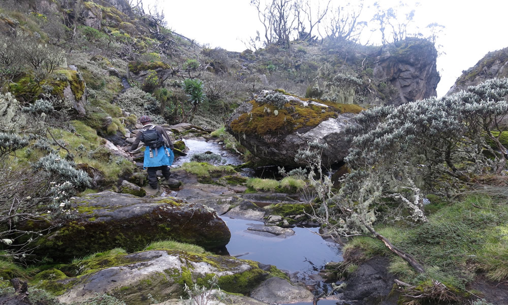 3 Days Rwenzori Mahoma Trail Trek