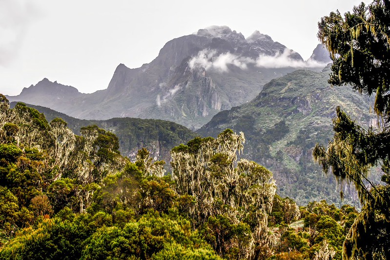 Mount Gessi Of Rwenzori Mountains National Park