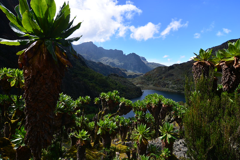 Mount Speke Of The Rwenzori Mountains in Rwenzori Mountains National Park-8 days Mount Stanley & Speke