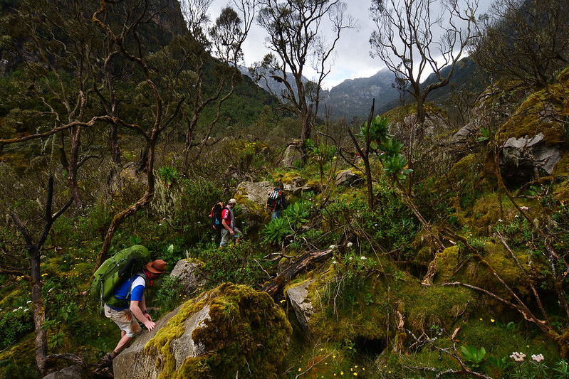 Rwenzori Trekking Routes/Trails in Rwenzori Mountains National Park