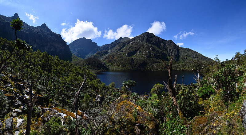 Kacholpe-5 days mount baker rwenzori trekking to Edward Peak
