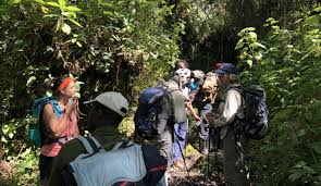 Rwenzori Bukurungu trail trekking route - Rwenzori