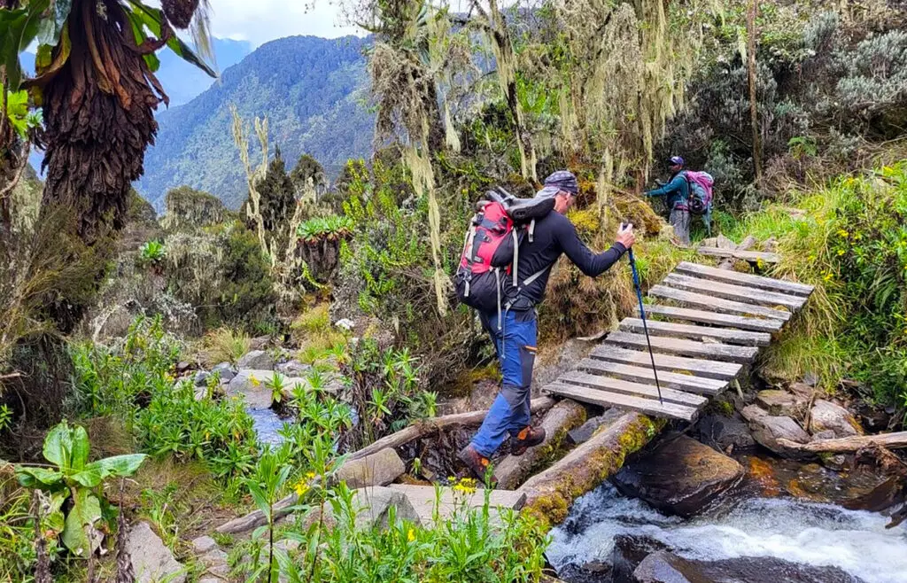 2 Days Rwenzori Trekking to mahoma Lake