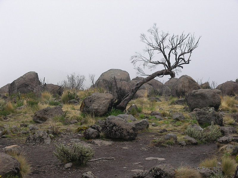 3 days, 4 days or 5 days Mount Kenya climbing routes Sirimon, chooria, Naomoru routes
