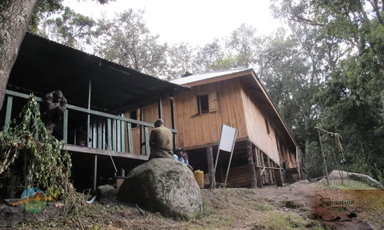 Day 1 to Nyabitaba hut from 7 days Mount Emin Rwenzori Mountains Trekking