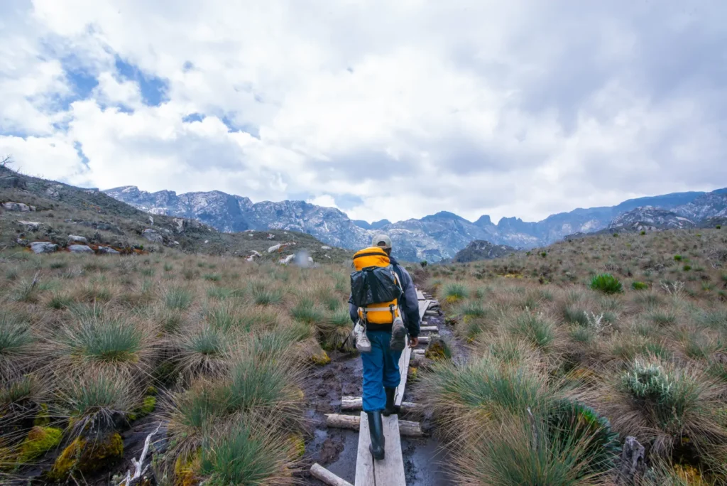 3 days Rwenzori trekking to Sine Camp and Samalira  Falls on Kilembe trail of Rwenzori Mountains National Park