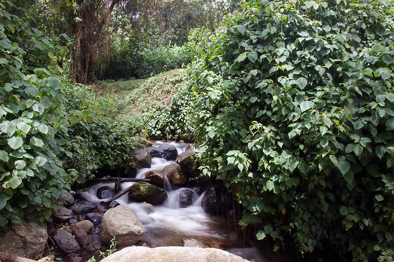 2 days, 3 days Lake mahoma loop Rwenzori Trek