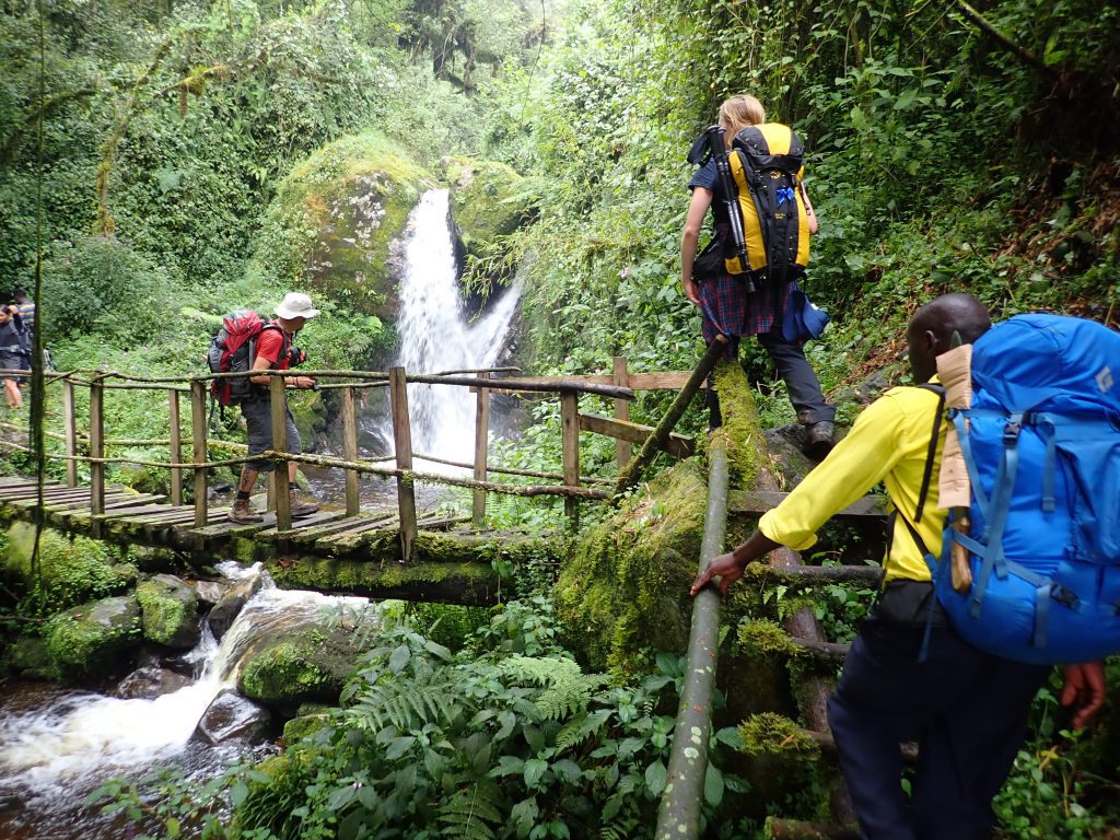 Rwenzori Central Circuit tail trail