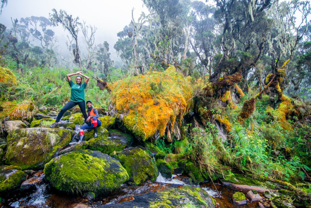 3 day Rwenzori trek to sine & Samalira Camp