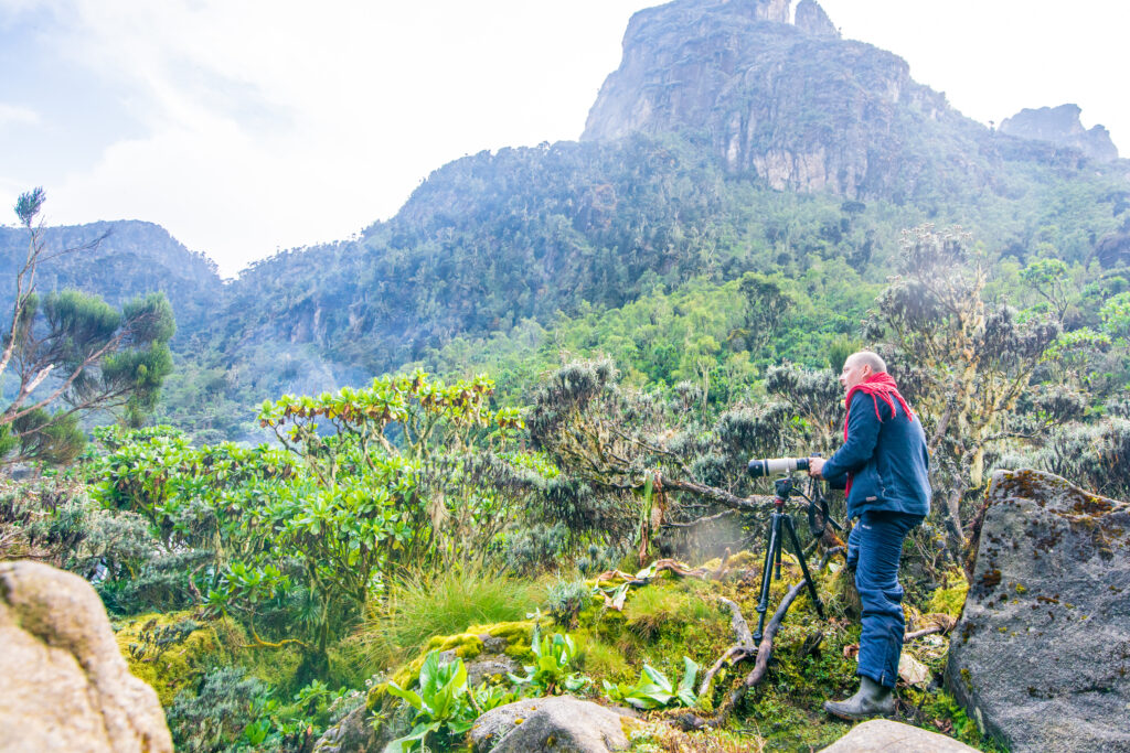 2 days, 3 days Rwenzori trek to Sine Camp
