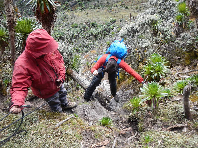 3 day Rwenzori trek to sine & samalira camp