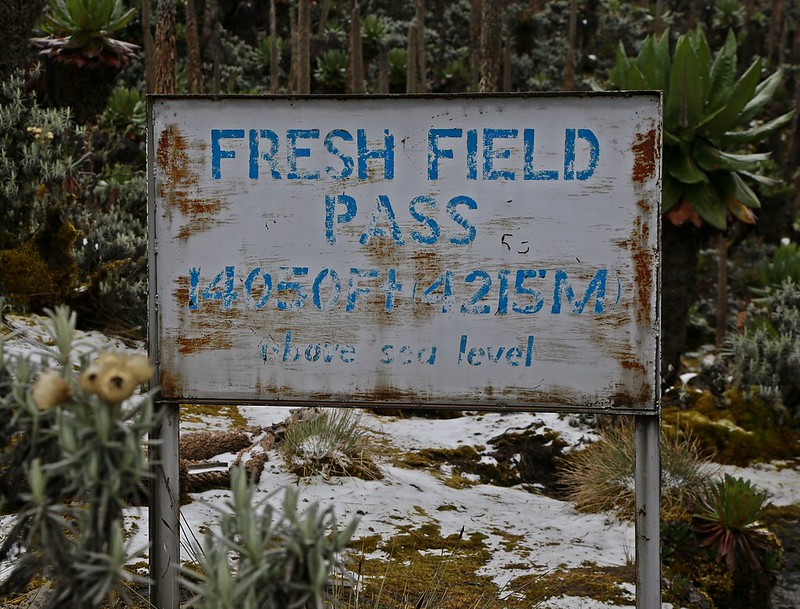 Freshfield Pass at the central circuit trail route