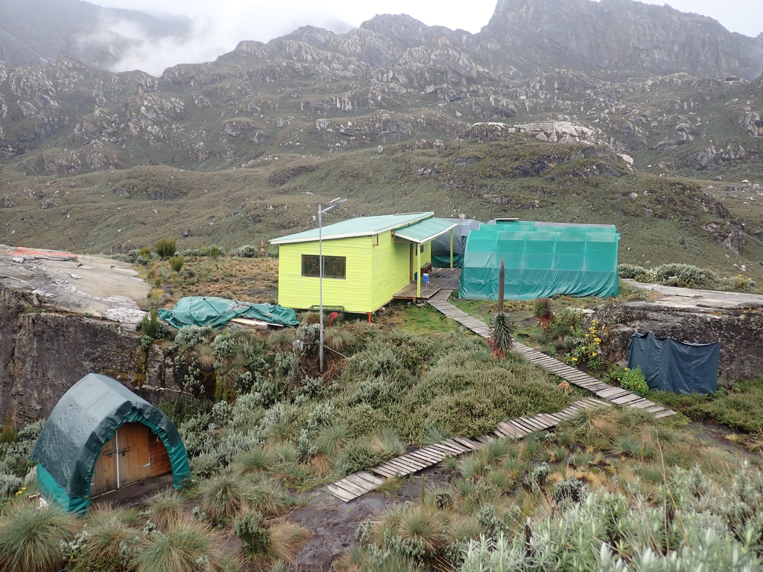 8-day Cheptegei Peak Trek, Rwenzori at Bugata Camp