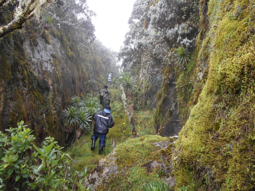 8 Das Cheptegei Peak