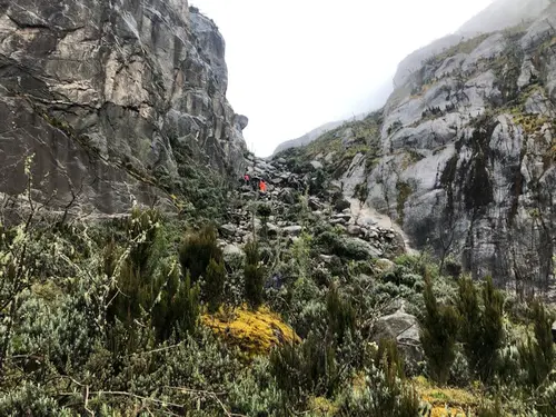 6-day Portal Peaks Rwenzori Trek