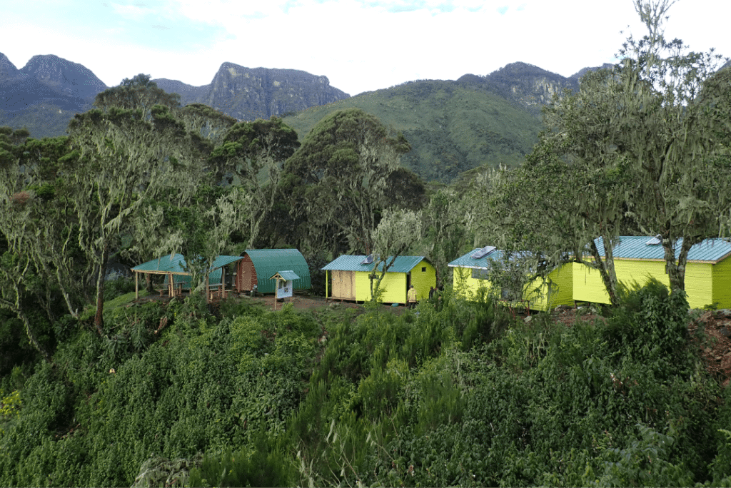 12-day Rwenzori & gorilla trekking safari