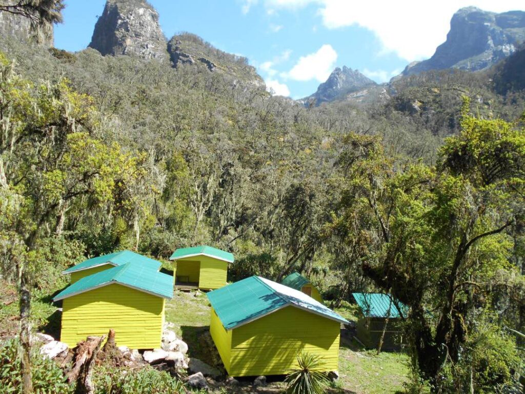7-day Rwenzori trek to Mount Baker & Weismann's peak Kilembe trail