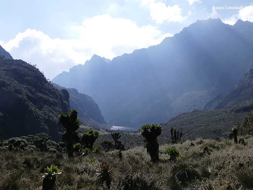 Mount Gessi Climbing in Rwenzori Mountains