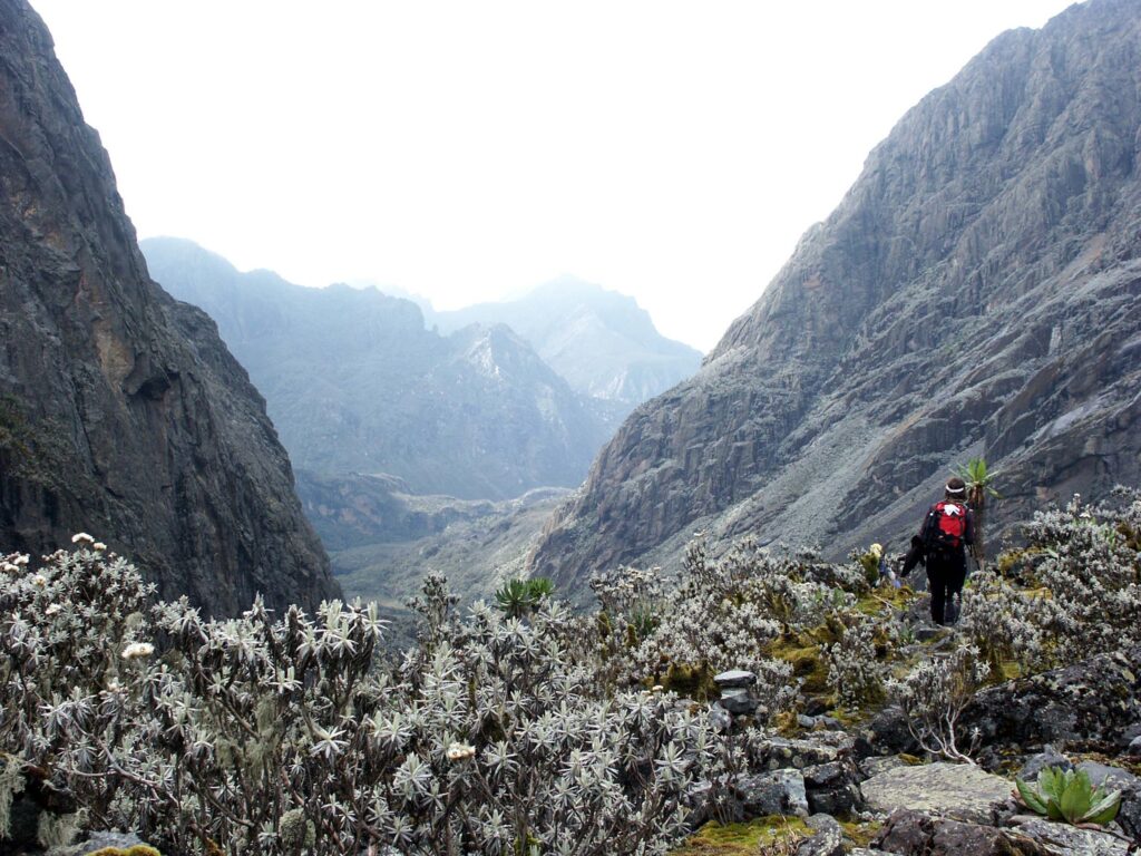 Mount Luigi Di Savoia