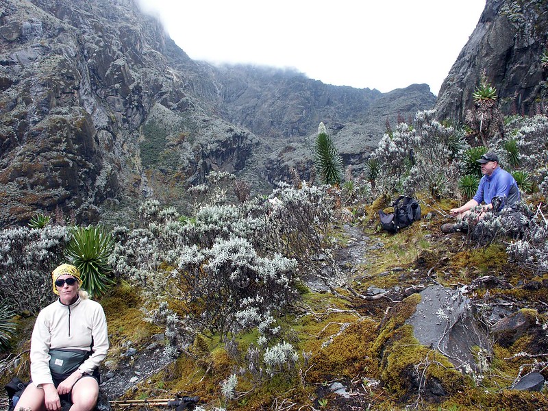 Relaxing Between Mount Stanley & Mount Baker of Rwenzori Mountains National Park
