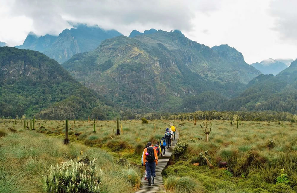 Rwenzori Portal Peaks Trekking