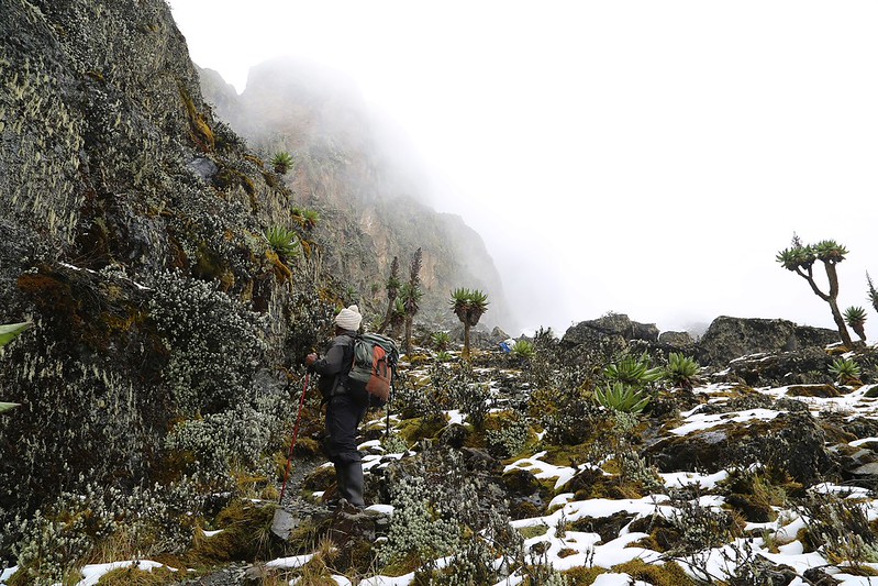 18-day Rwenzori 8 Peaks Trek/hike