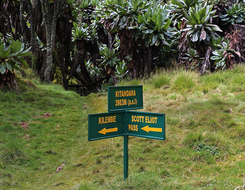 Kilembe trail Route Rwenzori Mountains Cheptegai Peak trek