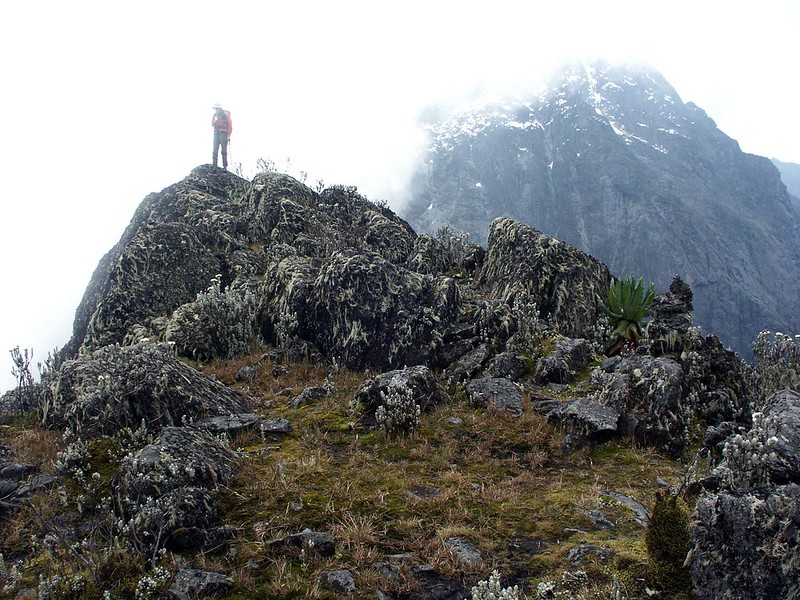 The site of the Duke of Abruzzi's Mt Stanley base camp