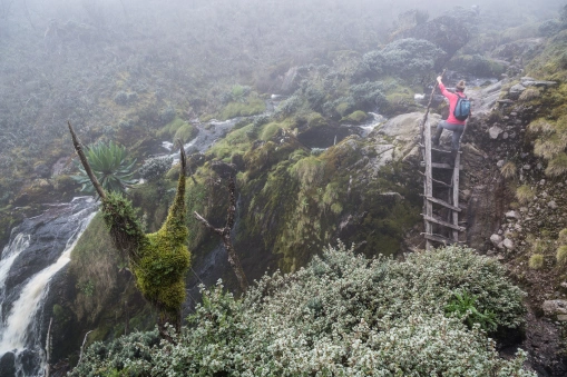 Kilembe trail trekking: best time to climb Chetegei peak on Mount Stanley of Rwenzori Mountains