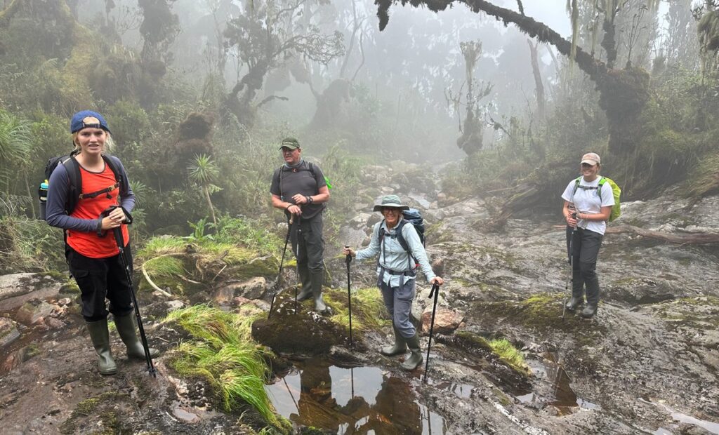 How to Prepare for a Rwenzori Trek